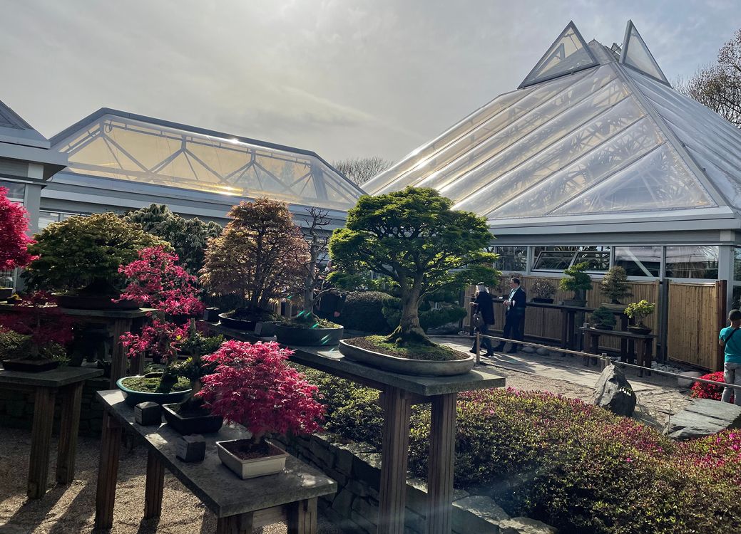 Bild 1b Nachher. Das Acrylglas der Gewächshausdächer im Grugapark war verwittert und unansehnlich geworden (a), deshalb wurden die botanischen Schauhäuser saniert und mit einem neuen Texlon ETFE-Foliendach versehen (b)