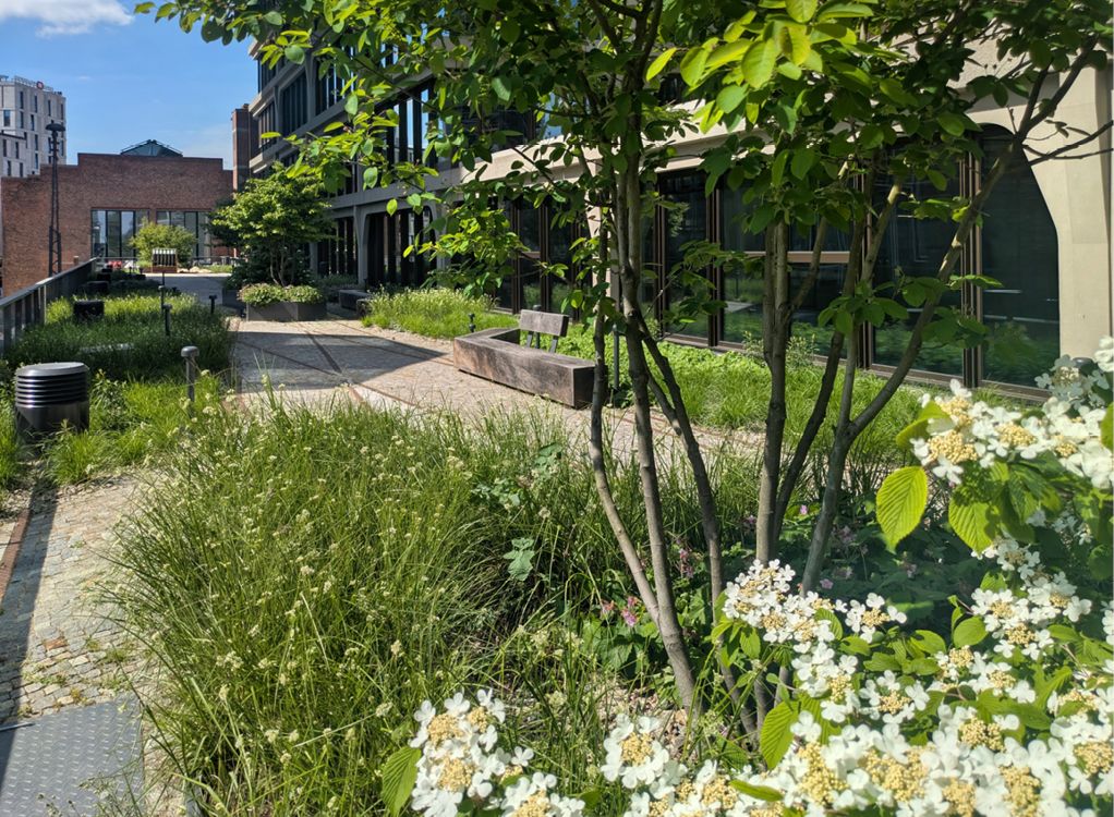 Bild 3 Naturnahe Bepflanzung, Sitzbereiche und kurze Wege: Die Dachlandschaft vereint ökologische Funktion und lebendige Nutzung – ein Beitrag zur klimaresilienten Stadtentwicklung. (Quelle: Levin Monsigny Landschaftsarchitekten)