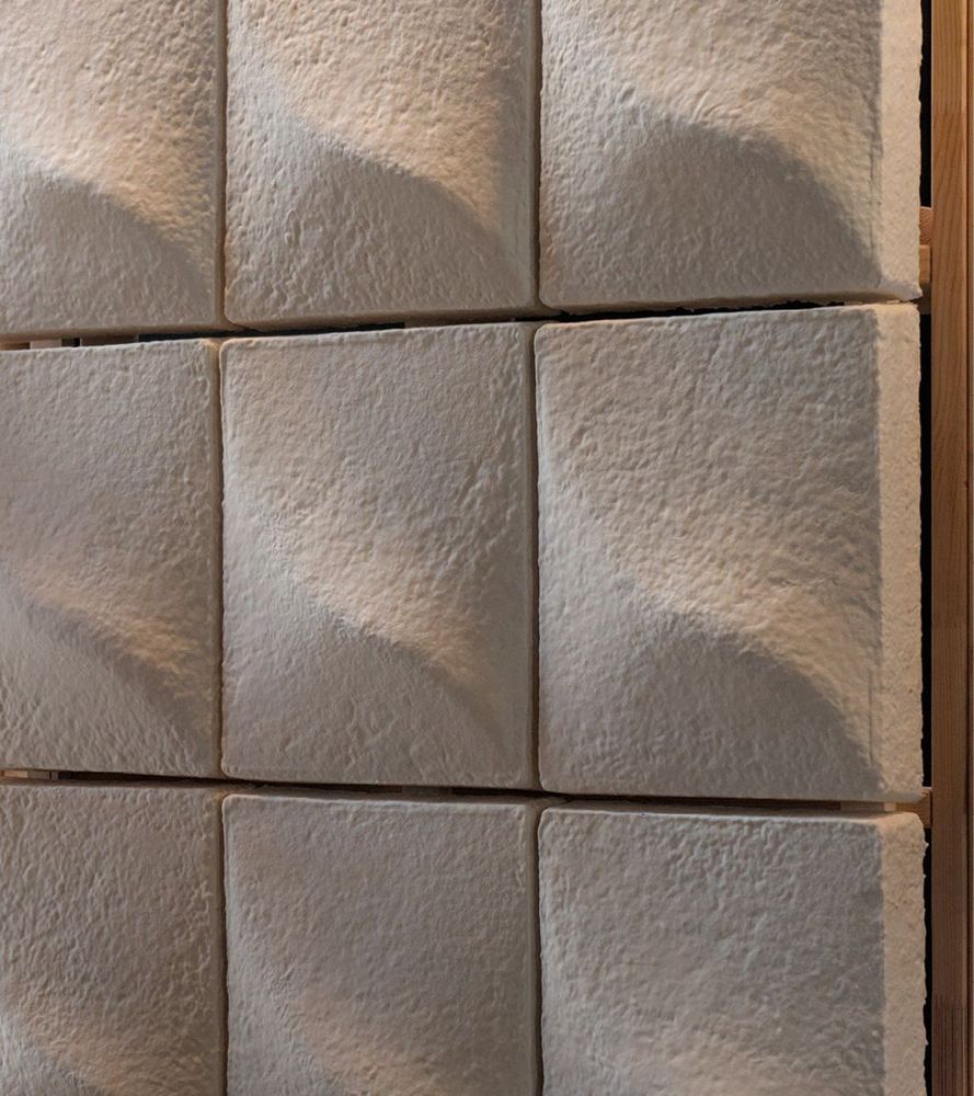 Bild 2 Offenporige Oberfläche des Myzelmaterials mit schall­absorbierender Wirkung (Quelle: MycoLutions)