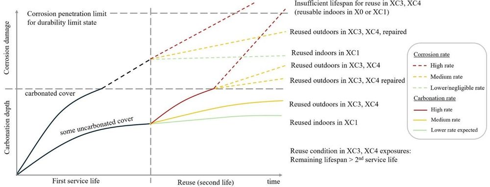 Service life scenarios considering two life cycles, and carbonation and corrosion across exposures